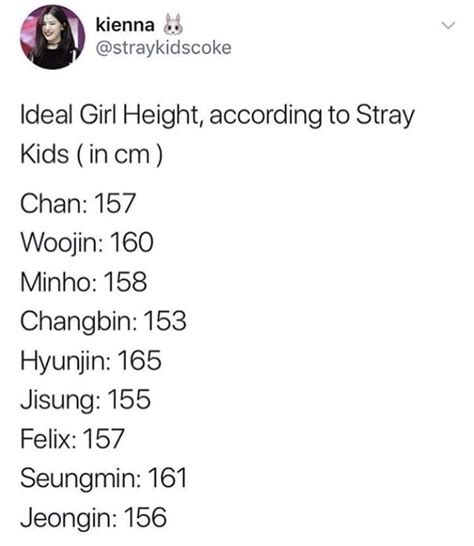 His <strong>ideal type</strong> is most likely very easy going in other. . Stray kids ideal type age